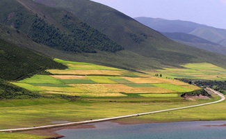 青藏高原东部边缘藏、彝两种社会类型